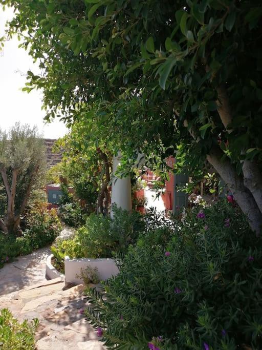 Casa Dei Melograni At Vourlidia Leros Villa Vromolithos ภายนอก รูปภาพ